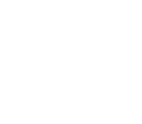 Bento Veiga